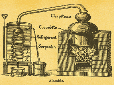essential oil distillation