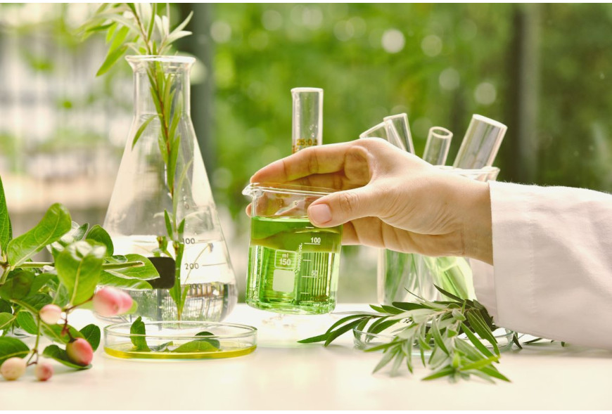 Ecoplanet: Unveiling the Science of Aromatherapy – How Essential Oils Elevate Skin and Well-being