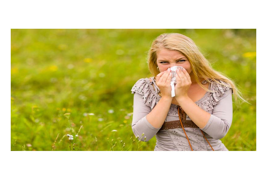 Aromatherapy for Allergy